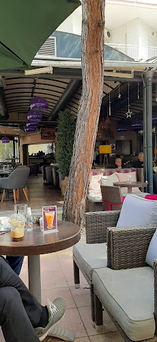 Comentarii opinii despre Barajo