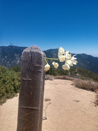 Observation Deck «Inspiration Point», reviews and photos, Echo Mountain (Mount Lowe Railroad Trail), Altadena, CA 91001, USA