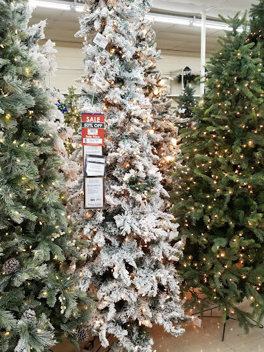 Home Goods Store «Trees n Trends - Bowling Green, KY», reviews and photos, 1555 Campbell Ln, Bowling Green, KY 42104, USA