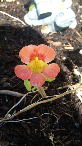 Book Store «Pipe & Thimble Bookstore», reviews and photos, 24830 Narbonne Ave, Lomita, CA 90717, USA