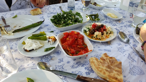 Ayıcı'Nın Yeri Yerkesik