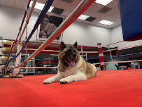 Shape It Fitness - Photo 6 - Car repair in Encino, CA, Simi Valley