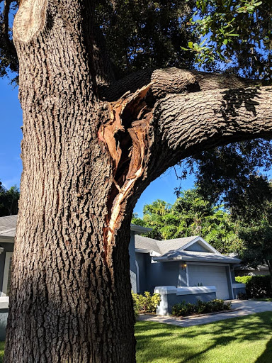 Moving and Storage Service «1-800-PACK-RAT Moving and Storage», reviews and photos, 914 Valley Ave NW #101, Puyallup, WA 98371, USA