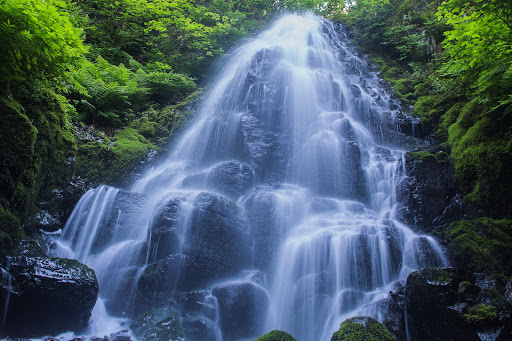 Tourist Attraction «Fairy Falls», reviews and photos, Wahkeena Trail #420, Corbett, OR 97019, USA