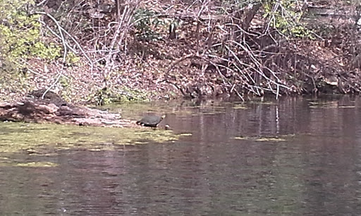 Non-Profit Organization «The Meadows Center for Water and the Environment», reviews and photos, 201 San Marcos Springs Dr, San Marcos, TX 78666, USA