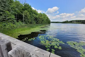 Island Lake Conservation image