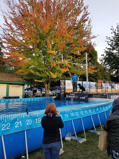 Community Center «Downtown Issaquah Association - Main Street Issaquah», reviews and photos, 232 Front St N, Issaquah, WA 98027, USA