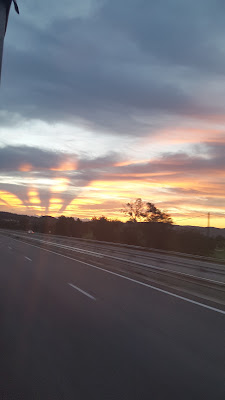 Trepel à Vidauban