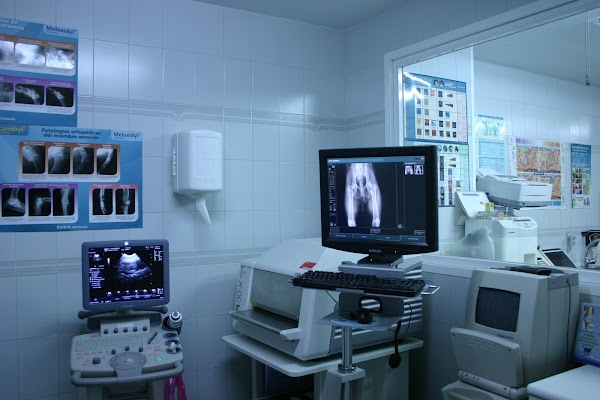 Clinica Veterinaria Guadarrama - Hospital Veterinario Guadarrama