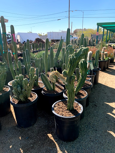 Gas Station «Circle K», reviews and photos, 12707 W Grand Ave, Surprise, AZ 85374, USA