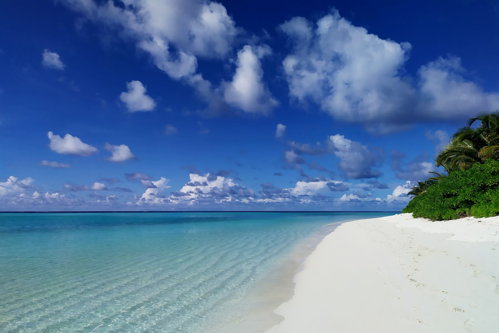 Foto de Thoddu Beach - lugar popular entre los conocedores del relax