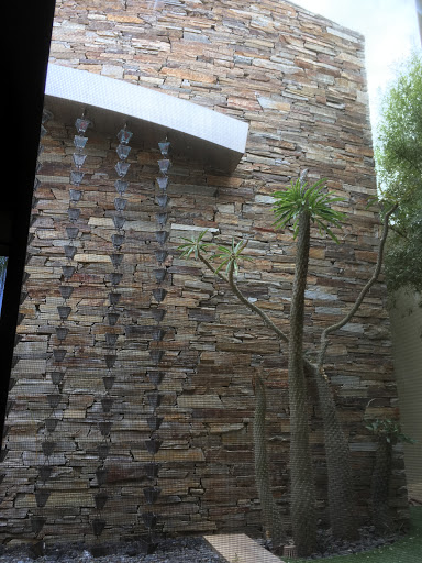 Car Wash «Red Carpet Car Washes», reviews and photos, 44440 Town Center Way, Palm Desert, CA 92260, USA