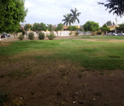 Nezahualcóyotl Park photo