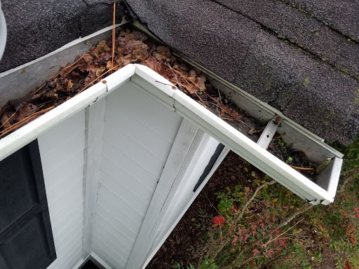 Clean Pro Gutter Cleaning New Haven