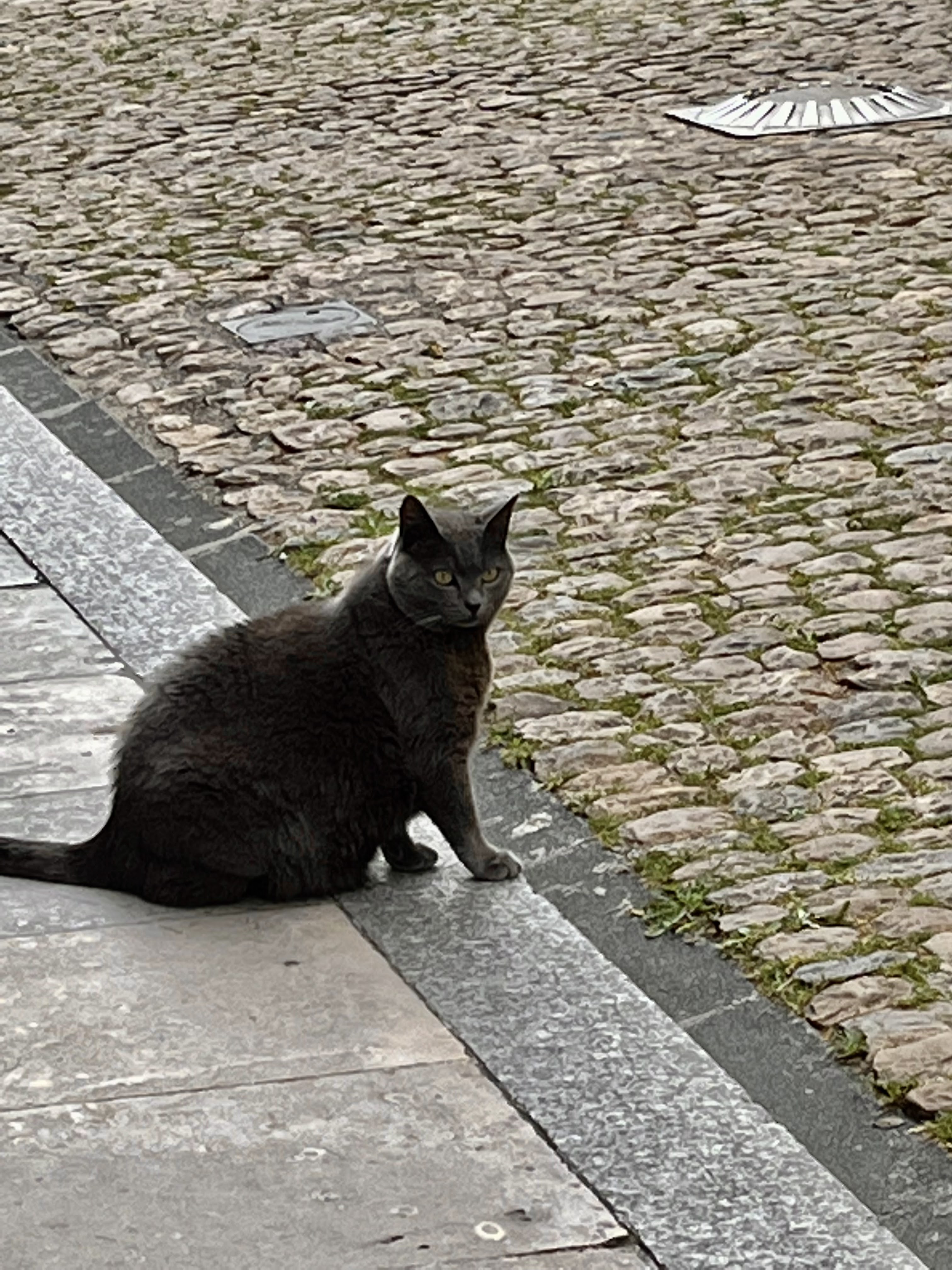 Photo n° 11 de l'avis de Na.p fait le 08/05/2022 à 17:42