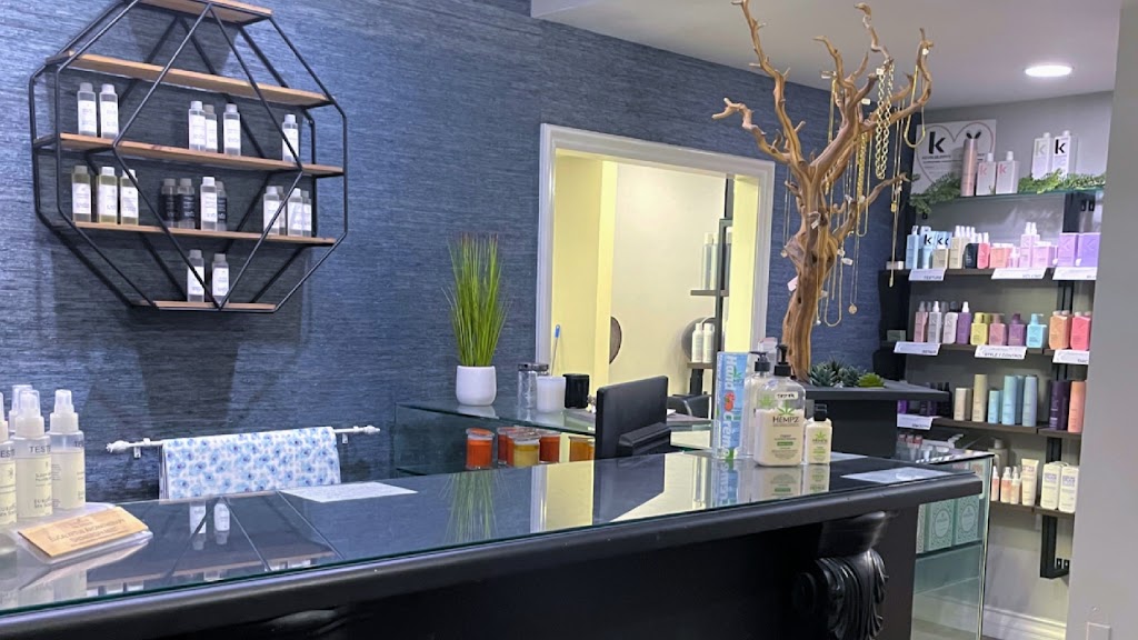 Salon Cheveux 92648