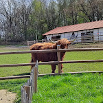 Photo n°7 de l'avis de Heike.� fait le 22/04/2023 à 13:50 sur le  Tier-Erlebnispark Bell à Bell