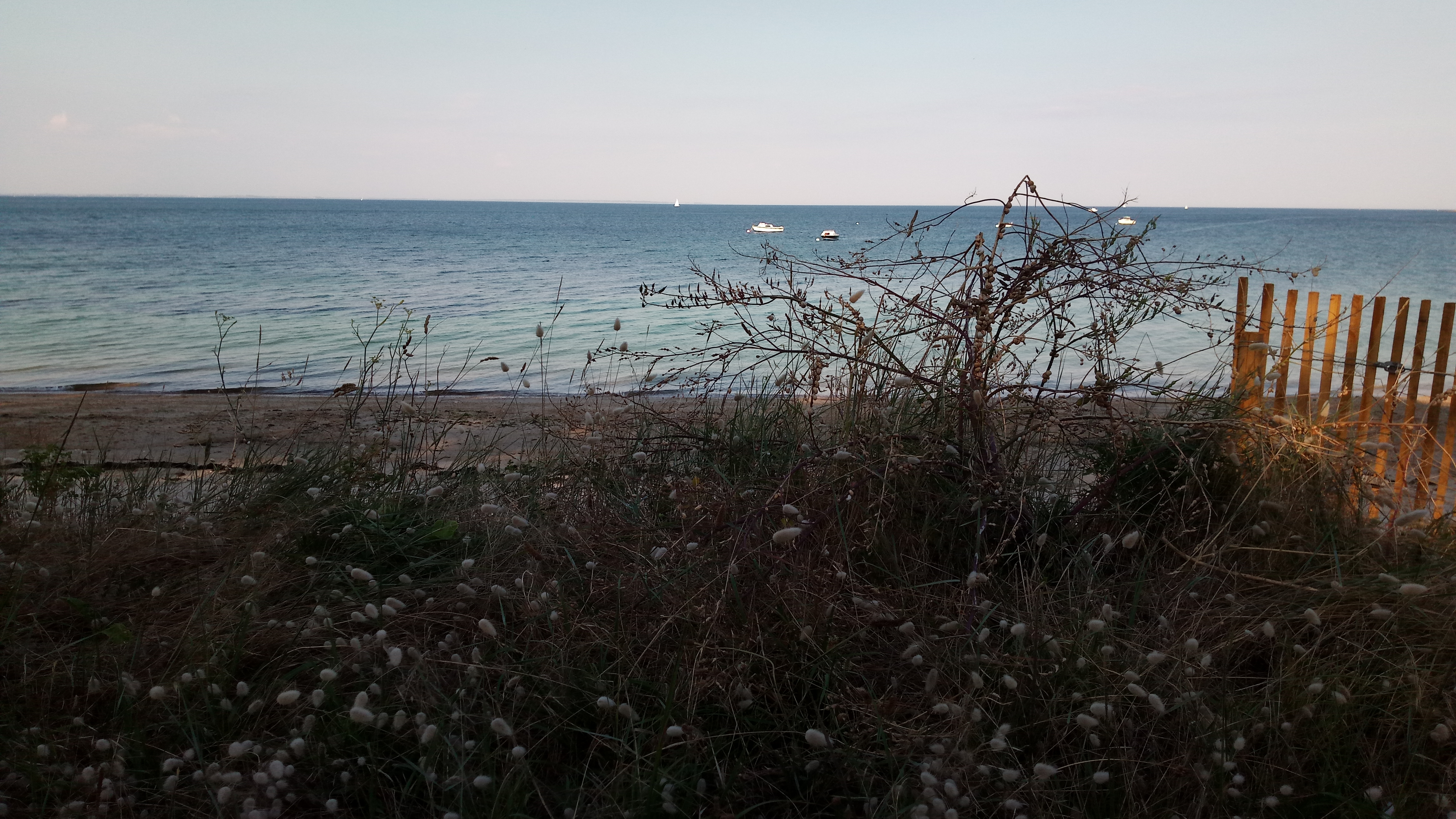 Photo n° 3 de l'avis de Jérôme.� fait le 20/07/2018 à 14:02