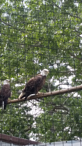 Golf Club «Stone Harbor Golf Club», reviews and photos, 905 U.S. 9, Cape May Court House, NJ 08210, USA
