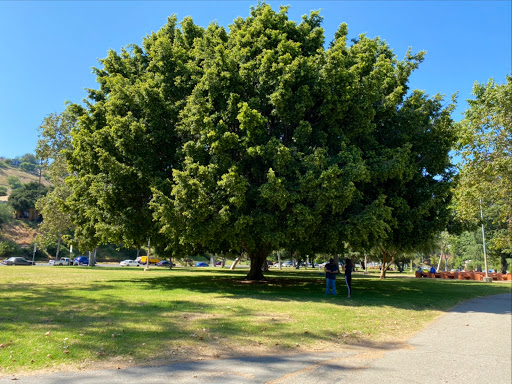 Park «Sycamore Grove Park», reviews and photos, 4702 N. Figueroa St, Los Angeles, CA 90042, USA