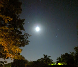 The Somerset Guest House photo