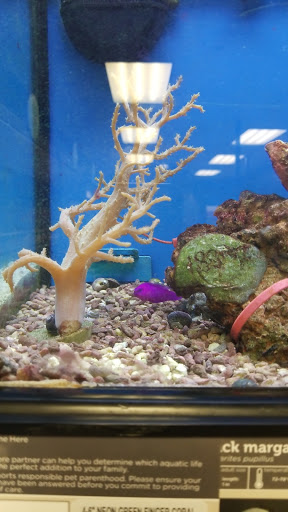 Pet Supply Store «Petco Animal Supplies», reviews and photos, 2350 Central Park Ave, Yonkers, NY 10710, USA