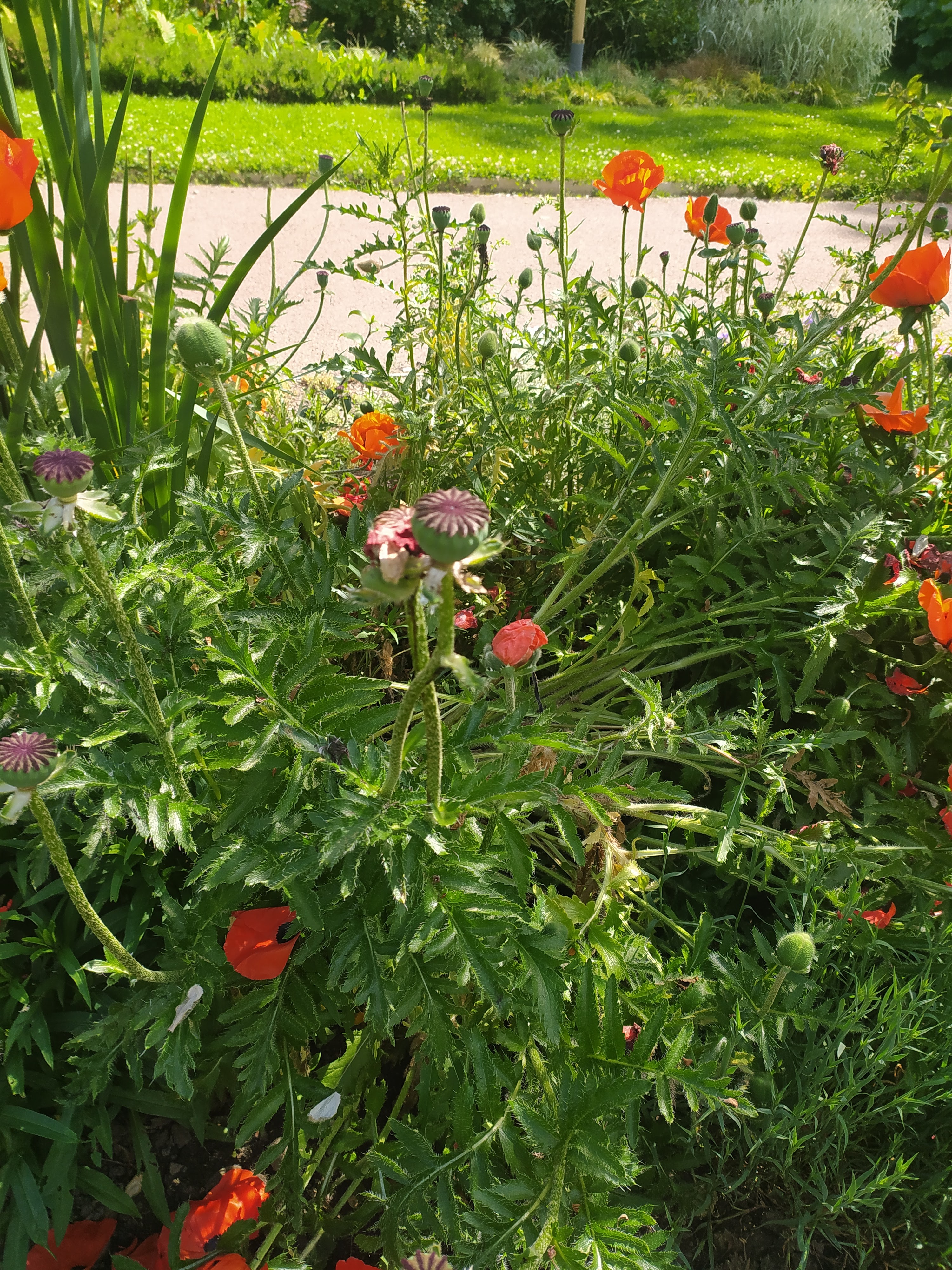 Photo n° 3 de l'avis de Mak.a fait le 13/06/2021 à 18:33