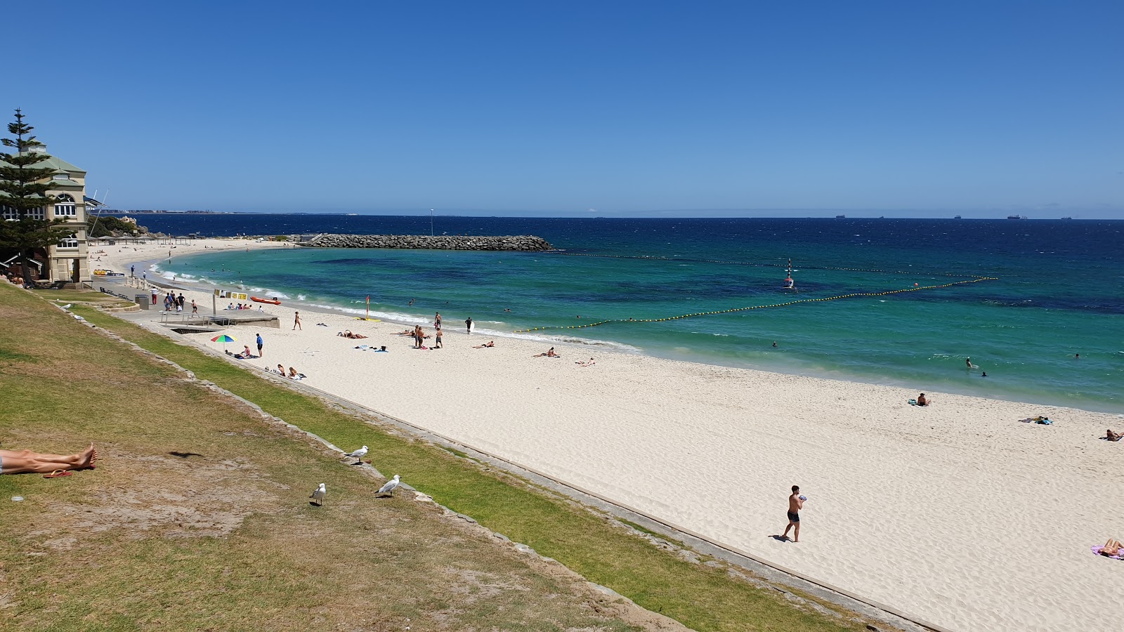 Photo of Cottesloe Beach with very clean level of cleanliness