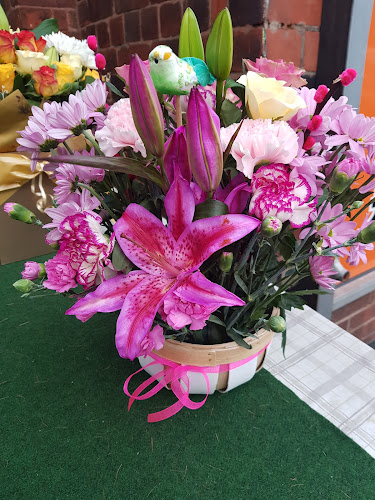Reviews of Petaltipps Floral Design in Manchester - Florist