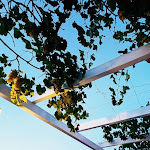 Photo n°1 de l'avis de Beatrice.a fait le 20/08/2022 à 05:45 sur le  Ristorante pizzeria La Buria à Peschici