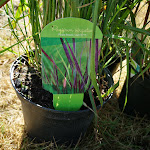 Photo n°4 de l'avis de Enevold.u fait le 04/09/2022 à 17:07 sur le  Gut Deinster Mühle à Deinste