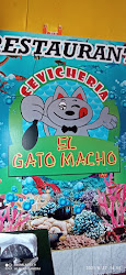 Cevicheria El Gato Macho
