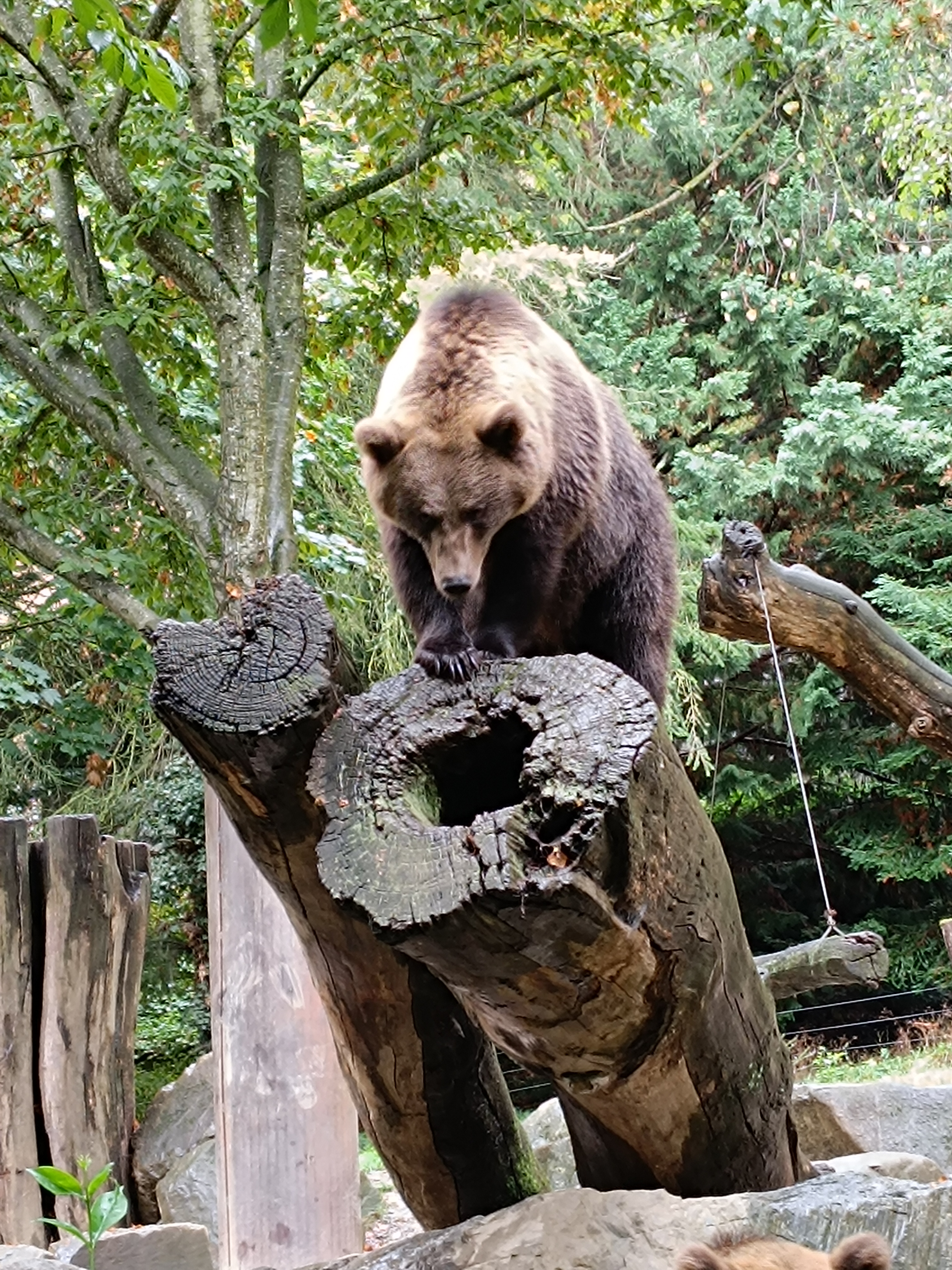 Photo n° 6 de l'avis de David.o fait le 10/09/2023 à 17:07