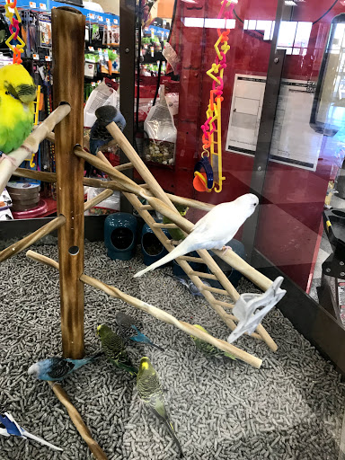 Pet Supply Store «Petco Animal Supplies», reviews and photos, 1060 U.S. 9, Parlin, NJ 08859, USA