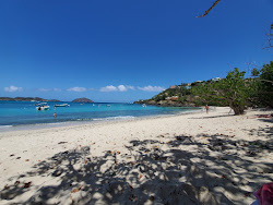 Photo de Hull Bay beach avec un niveau de propreté de assez propre