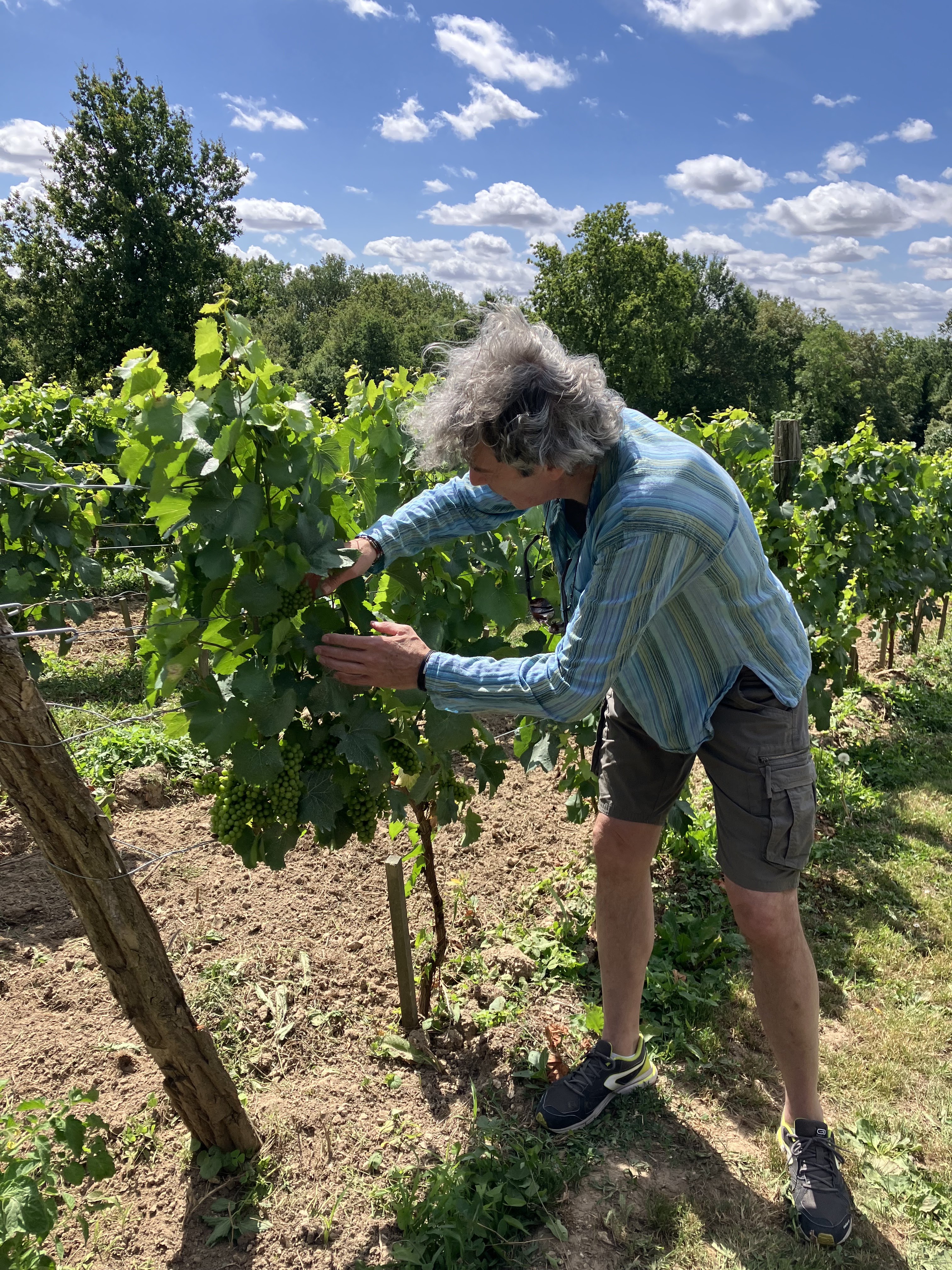 Photo n° 1 de l'avis de Émilie.r fait le 17/07/2023 à 18:48