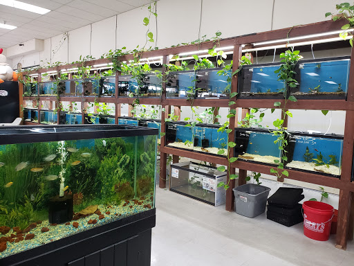 Pet Store «Pet Time», reviews and photos, 3141 W 11th Ave, Eugene, OR 97402, USA