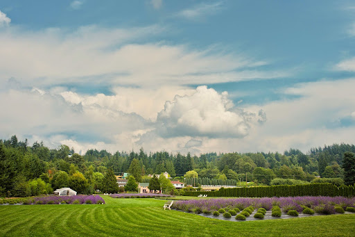 Event Venue «Woodinville Lavender», reviews and photos, 14223 Woodinville-Redmond Rd NE, Redmond, WA 98052, USA