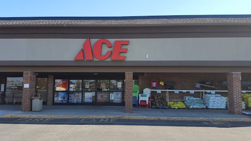 Noblesville Ace Hdwe, 603 Westfield Rd, Noblesville, IN 46060, USA, 