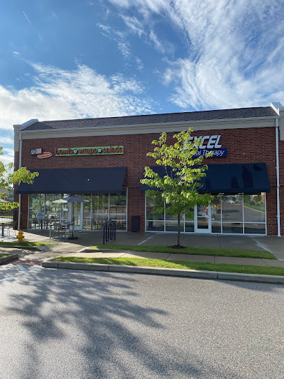Excel Sports & Physical Therapy