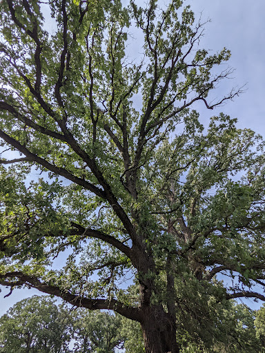 Nature Preserve «Hickory Knolls Discovery Center», reviews and photos, 3795 Campton Hills Drive, St Charles, IL 60175, USA