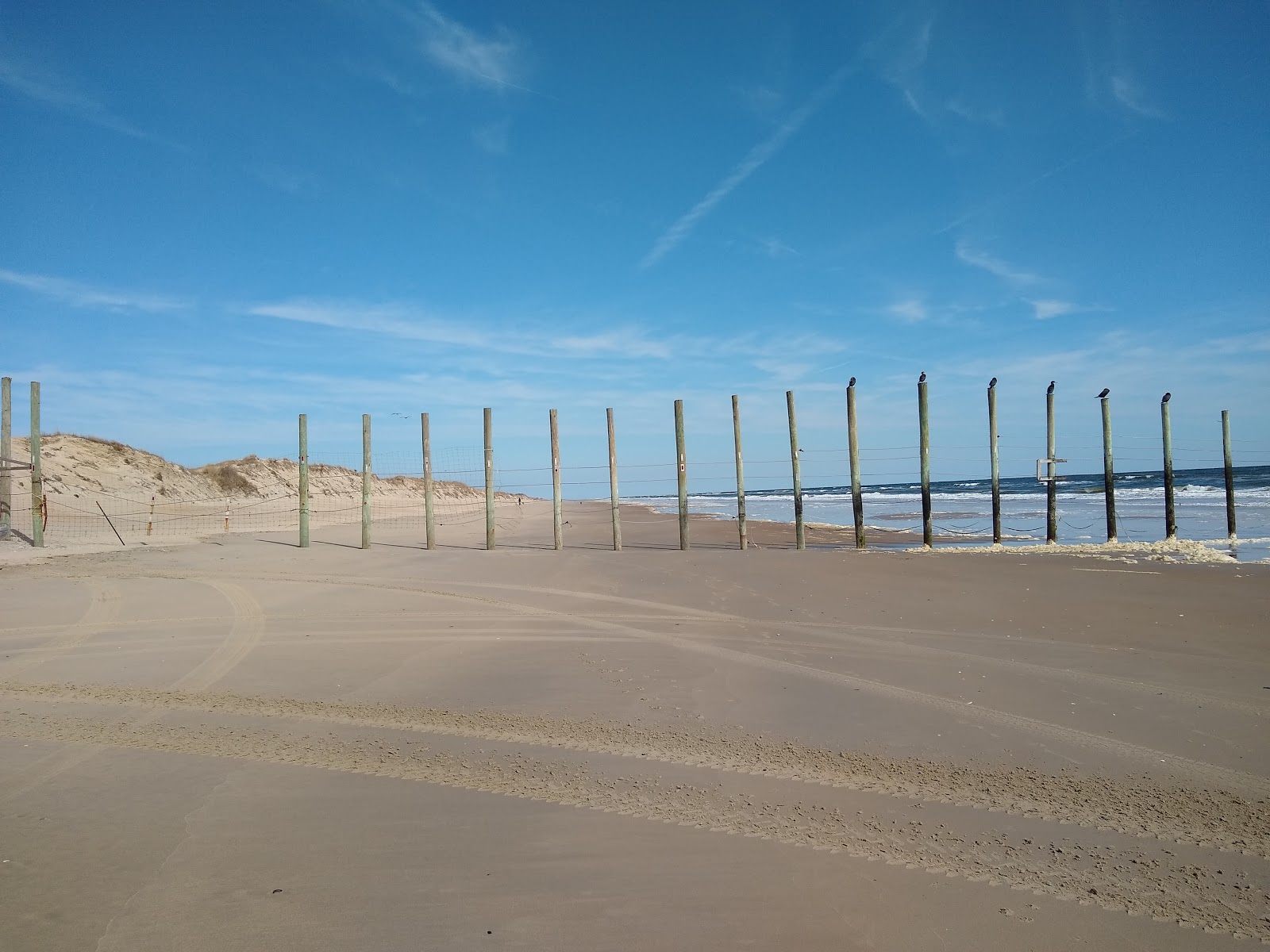 Photo of Corolla beach II with long straight shore