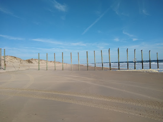 Corolla beach II
