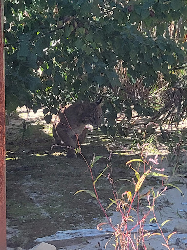 Pet Supply Store «Petco Animal Supplies», reviews and photos, 1065 Kennedy Rd, Windsor, CT 06095, USA