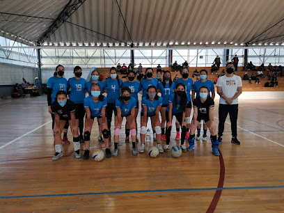 Club Panteras LV Voleibol