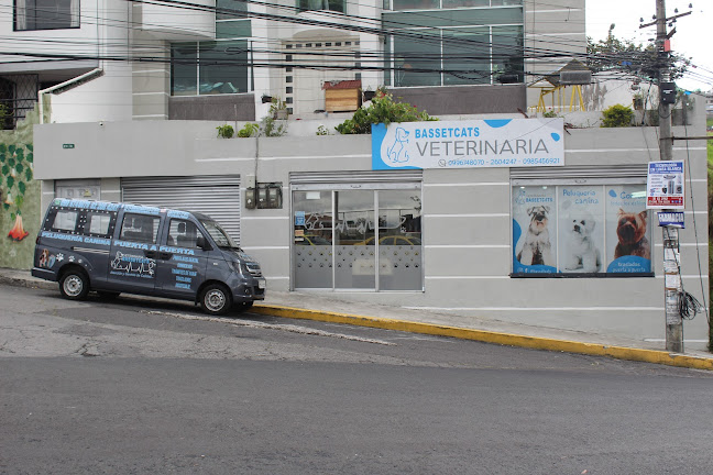Veterinaria Bassetcats. - Quito