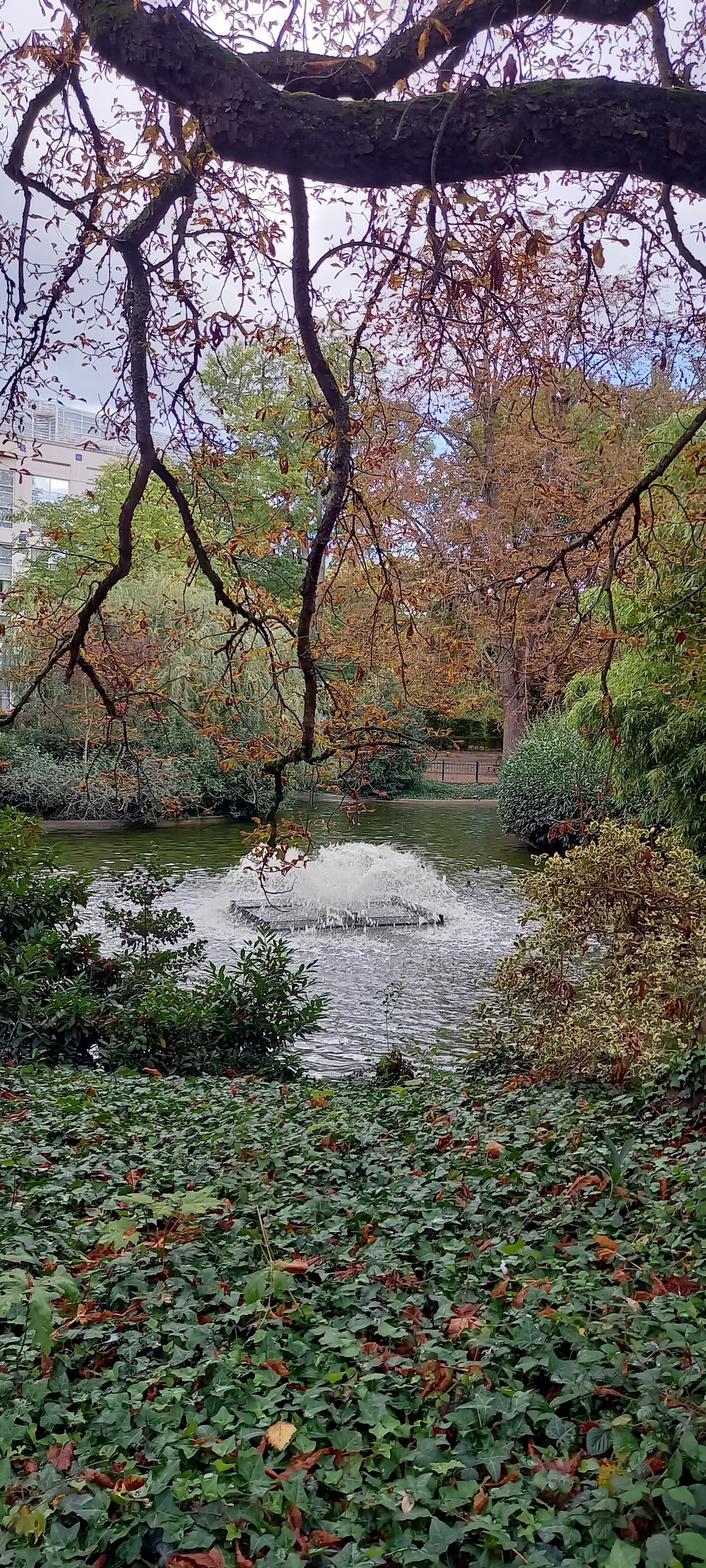 Photo n° 3 de l'avis de Françoise.i fait le 29/09/2022 à 19:26