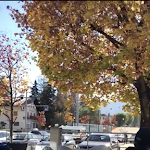 Photo n°1 de l'avis de Maja.. fait le 02/03/2019 à 10:27 sur le  Zinta Bar Café à Bruneck