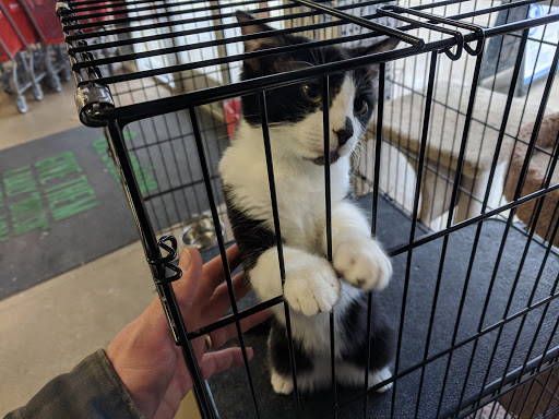 Pet Supply Store «Petsense Fort Worth», reviews and photos, 1408 Eastchase Pkwy #100, Fort Worth, TX 76120, USA