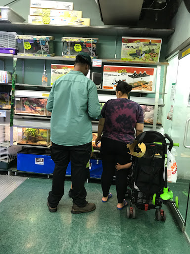 Pet Store «Petland Discounts - Parkchester», reviews and photos, 1949 Westchester Ave, Bronx, NY 10462, USA